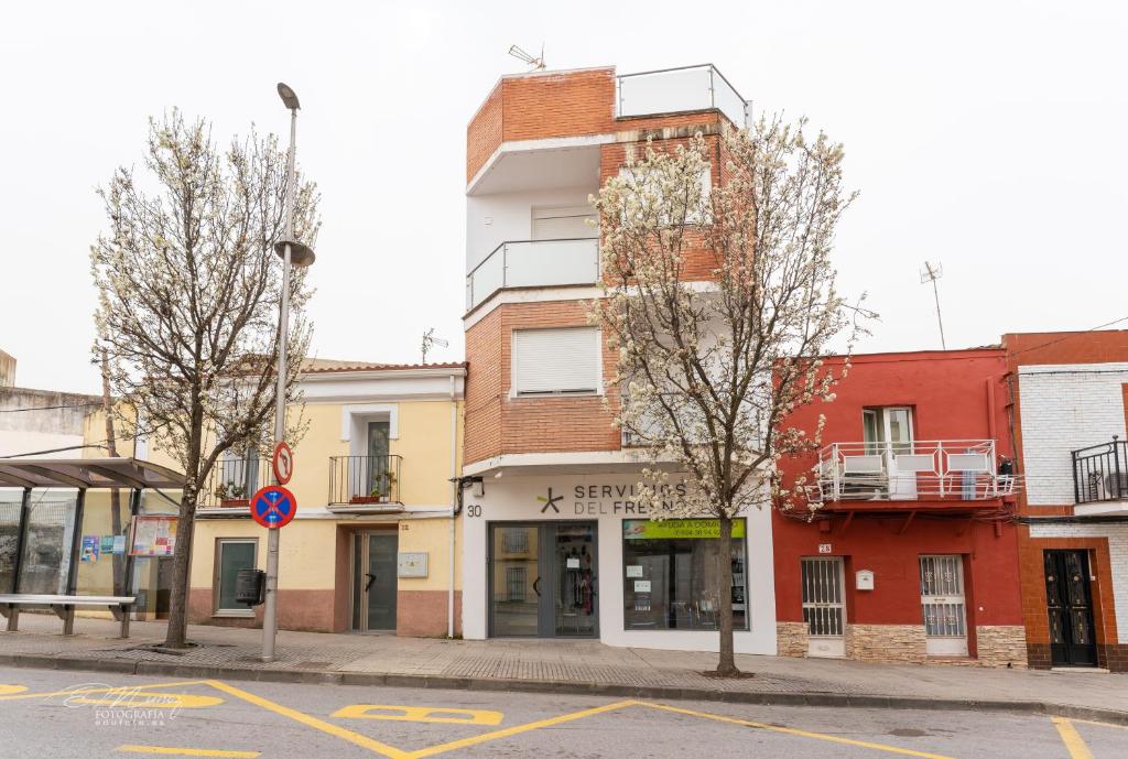 Fotografia z galérie ubytovania Apartamentos Lorian v destinácii Merida