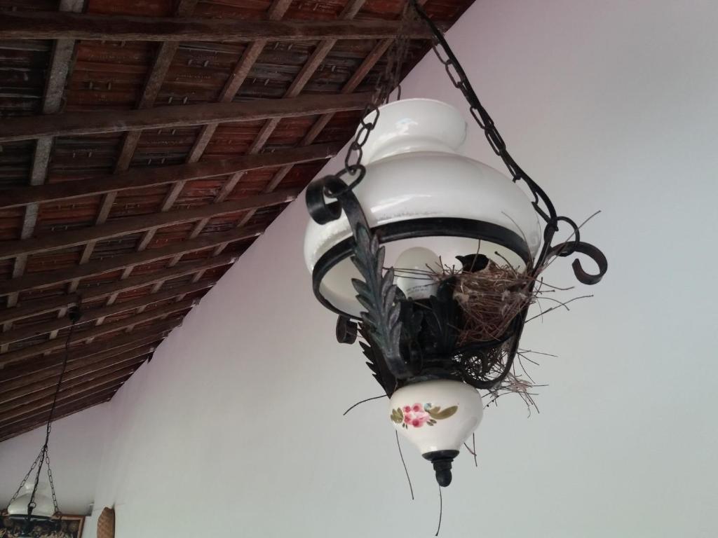 Fotografie z fotogalerie ubytování Embiente Guest House v Negombu