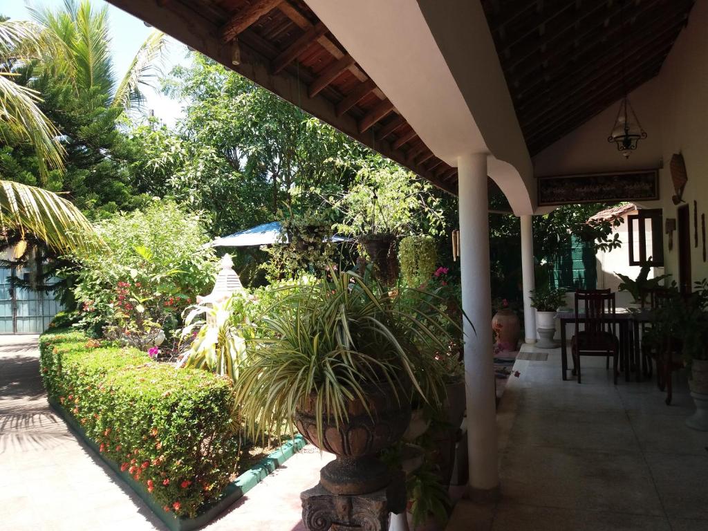 Zahrada ubytování Embiente Guest House