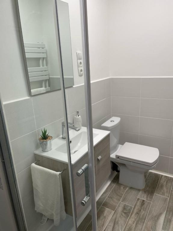Kúpeľňa v ubytovaní Vidus Apartman Kaposvár