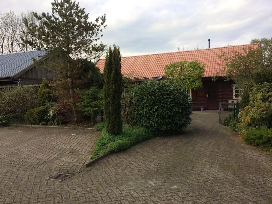 a house with a tree in the middle of a driveway at Tanja's Guesthouse Kootstertille in Kootstertille