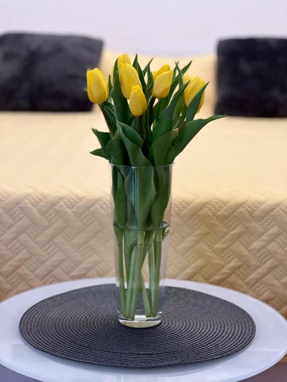 Guest House Anna - 6