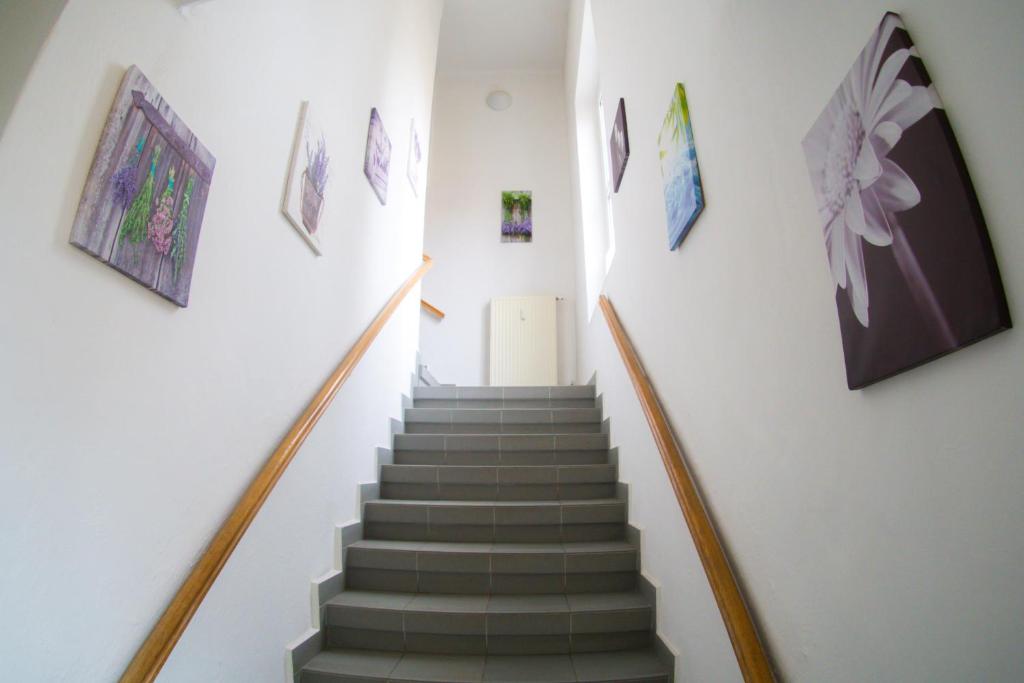 Fotografie z fotogalerie ubytování Apartments Radka v destinaci Třeboň