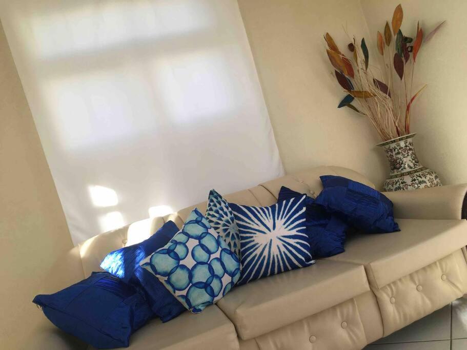 Blue Sky Apartments, Christ Church (updated prices 2024)