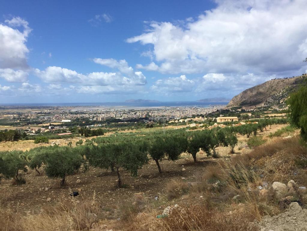 a view of a city from a hill with trees at Trapani Emotions apartment in Valderice
