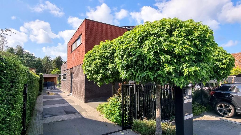 een boom voor een gebouw met een hek bij Casa Del Bosque in Maasmechelen