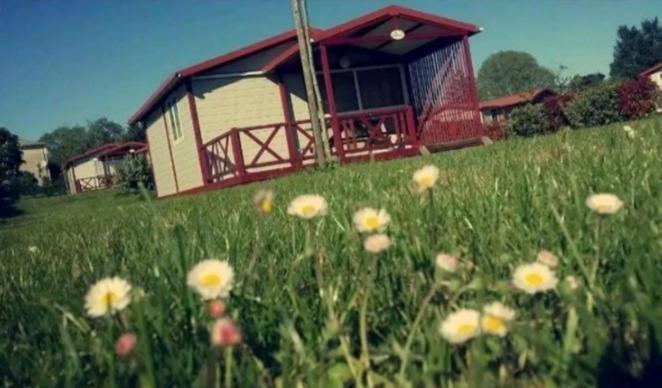 un campo de flores frente a un edificio en CHALET PROCHE DE TOUTES COMMODITES PARKING GRATUIT, en Casteljaloux