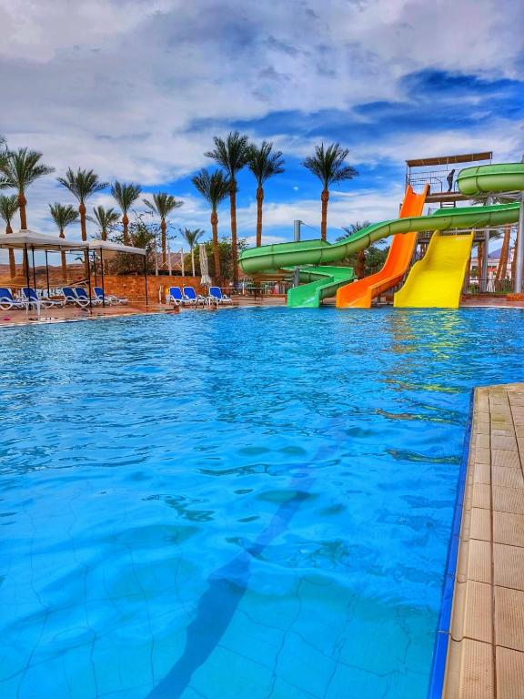 Seti Sharm Palm Beach Resort Families and couples only, Sharm El Sheikh –  Updated 2023 Prices