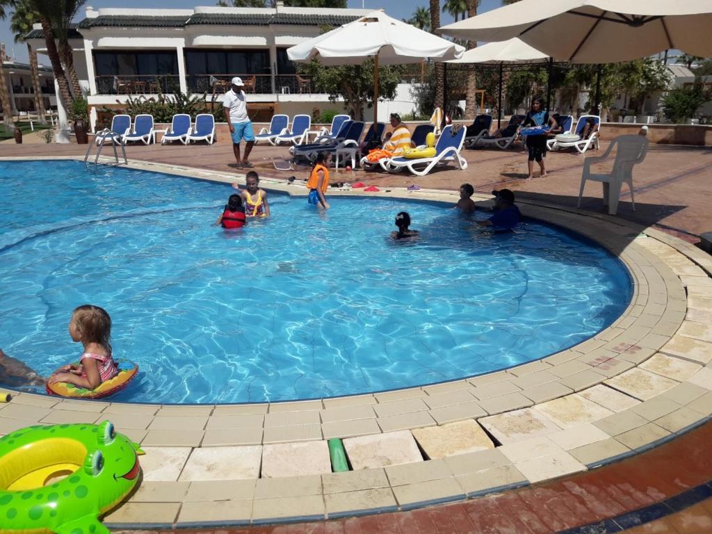Bazén v ubytování Seti Sharm Palm Beach Resort Families and couples only nebo v jeho okolí