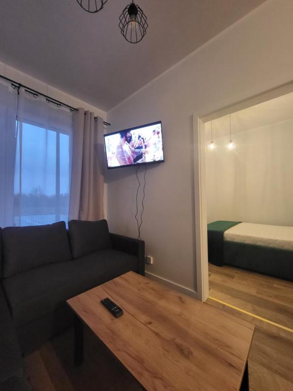 Televízia a/alebo spoločenská miestnosť v ubytovaní Nest Apartament