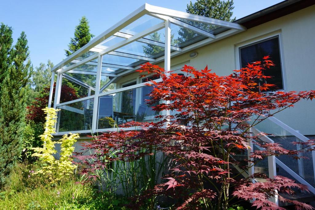 a glass house with red flowers in front of it at Bungalow Ulf in Lauchhammer