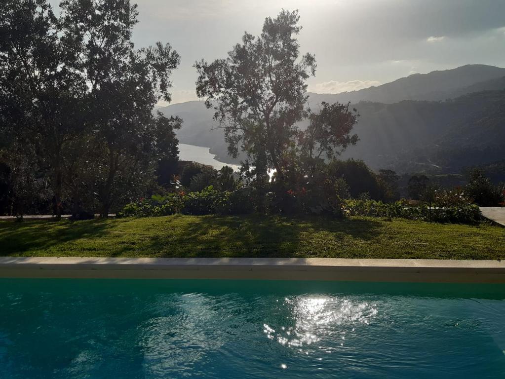 a swimming pool with a tree and mountains in the background at Casa em Resende com Vista Para o Rio Douro in Resende