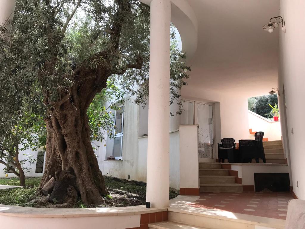 Belvedere – Photos 2