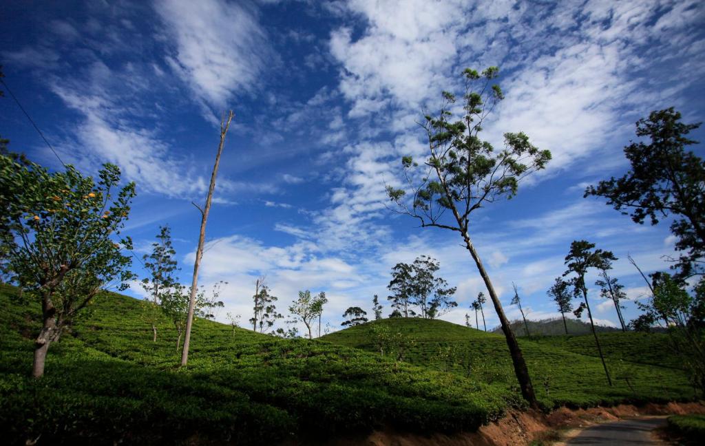 雲山間評價、影片、特色體驗、房價資訊、訂房連結 – 山林雲海美景與手作美食 - 照片 14