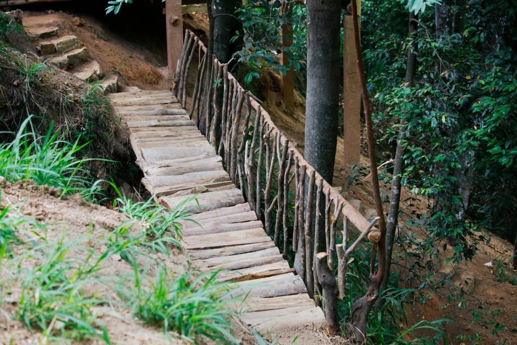 Fotografie z fotogalerie ubytování Ella Ecolodge v destinaci Ella