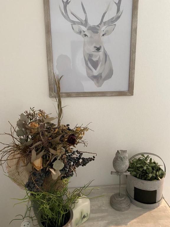 Magnifique appartement au coeur de Mulhouse – photo 28