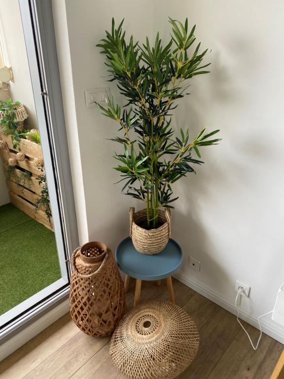 Magnifique appartement au coeur de Mulhouse – photo 18