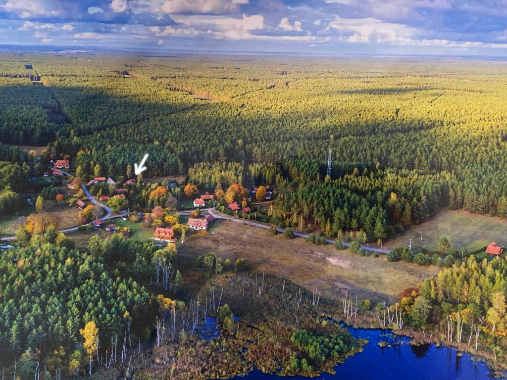 Przyroda w pobliżu tego domu wakacyjnego