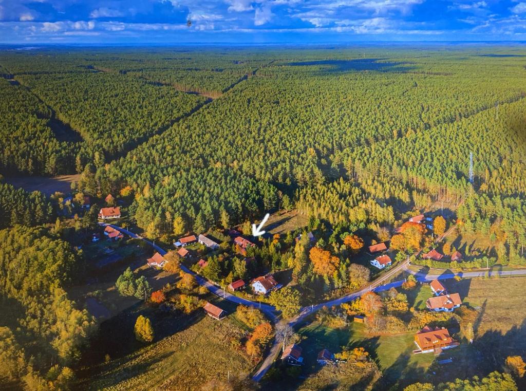 Przyroda w pobliżu tego domu wakacyjnego