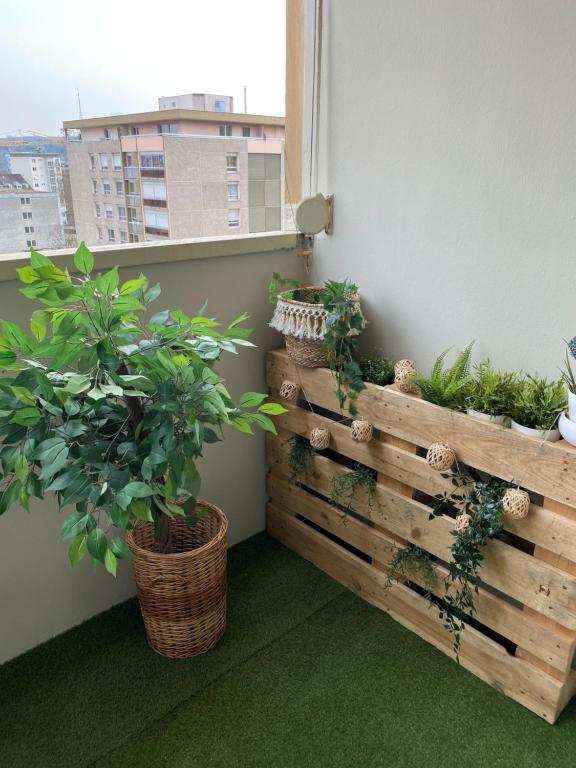 Magnifique appartement au coeur de Mulhouse – photo 20