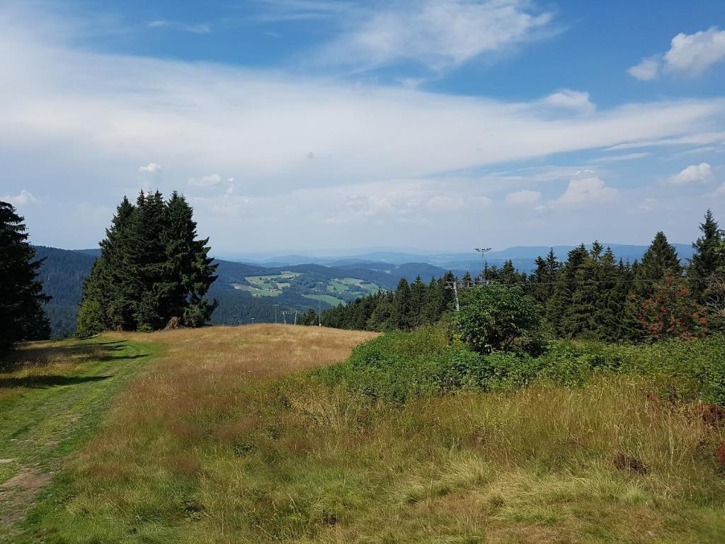 Příroda nedaleko apartmánu