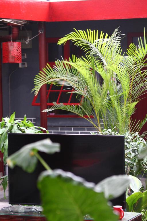 Fotografie z fotogalerie ubytování Beijing Yue Bin Ge Courtyard Hotel v Pekingu