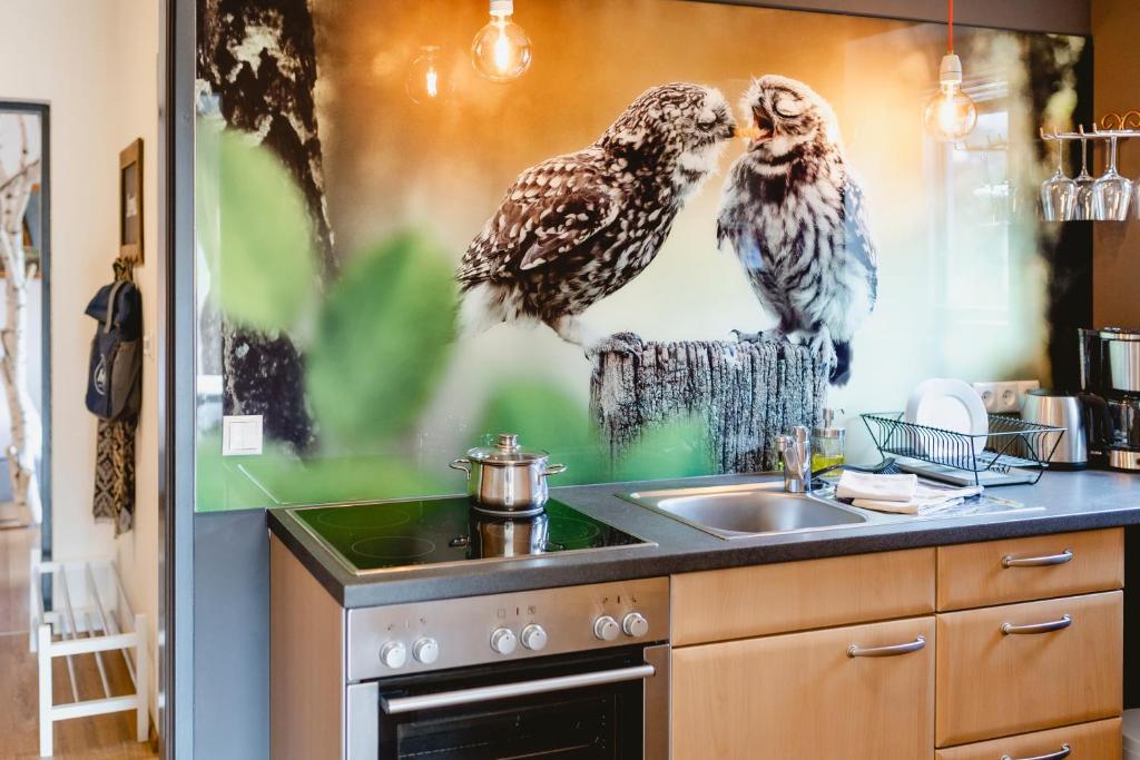 Das Franzl - Bett & Brot - 19