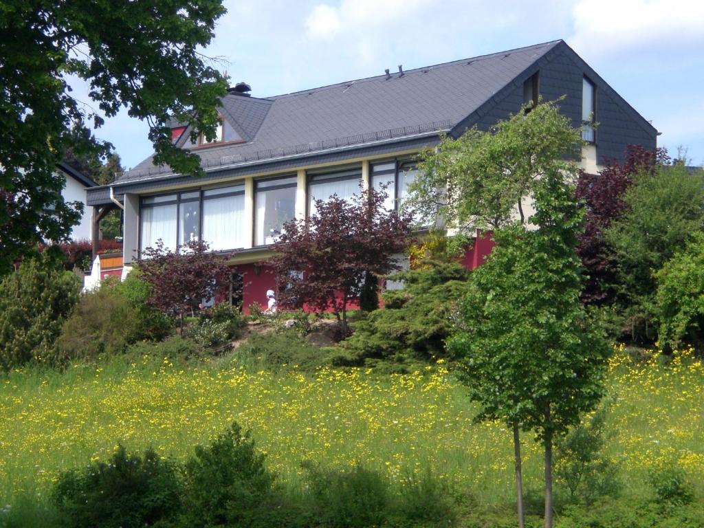 a house on a hill with a field of flowers at Ferienwohnungen Blum in Kelberg