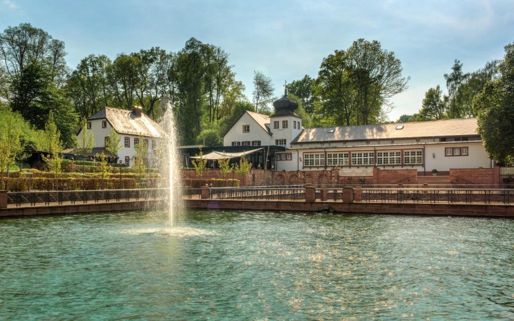 une fontaine dans l'eau devant un bâtiment dans l'établissement Romantik Hotel Landschloss Fasanerie, à Zweibrücken