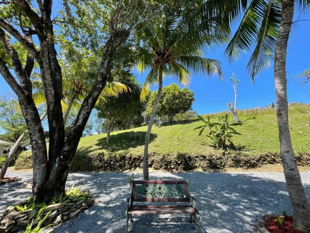 Hotel and Dive Center Roatan Yacht Club - Chambre Double Standard