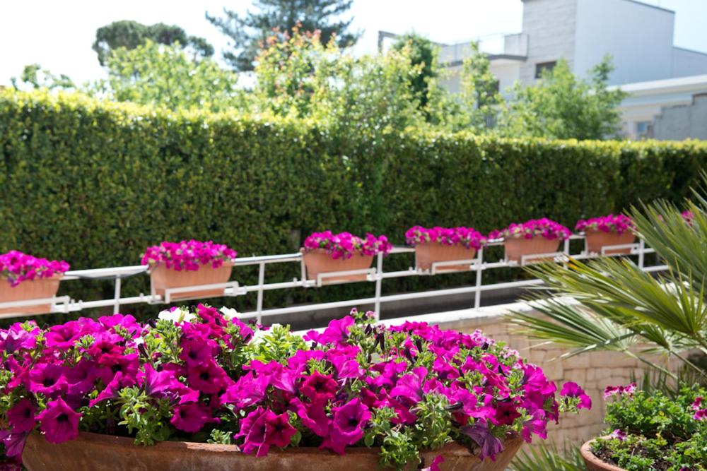 Zahrada ubytování Park Hotel La Grave