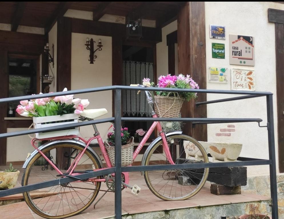 Una bicicleta rosa estacionada en un porche con flores en cestas en Hotel Rural Cascadas de Tobera en Tobera
