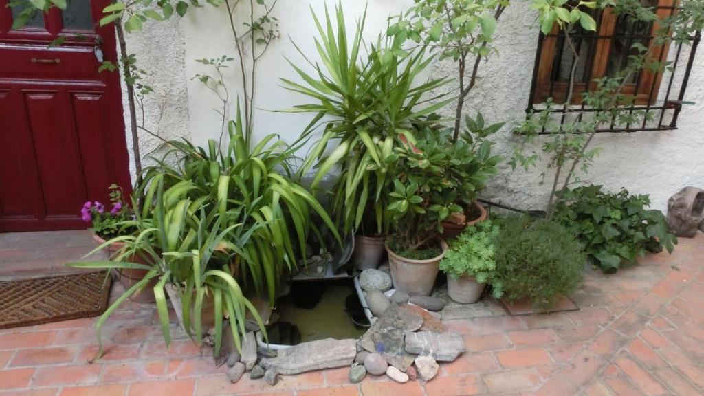 Al Sil Ram - Apartment - Ground Floor