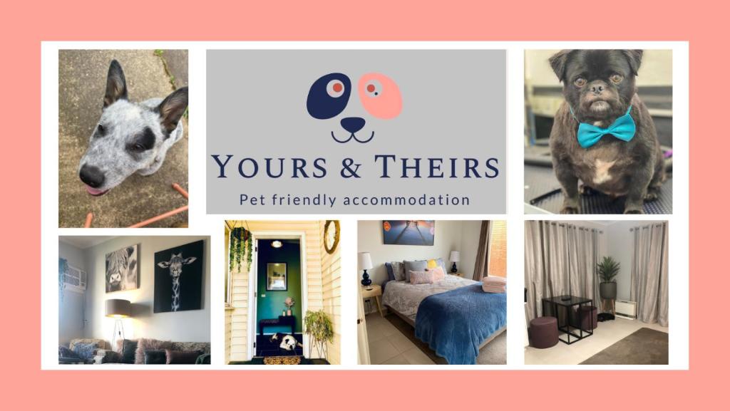 un collage de fotos de un perro en una habitación en Yours and Theirs Pet Friendly Accommodation, en Myrtleford