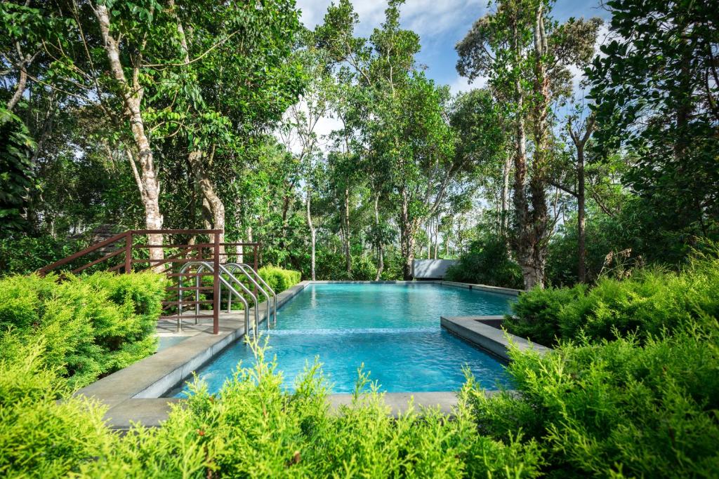 a swimming pool in a garden with trees at The Mountain Courtyard Thekkady in Thekkady