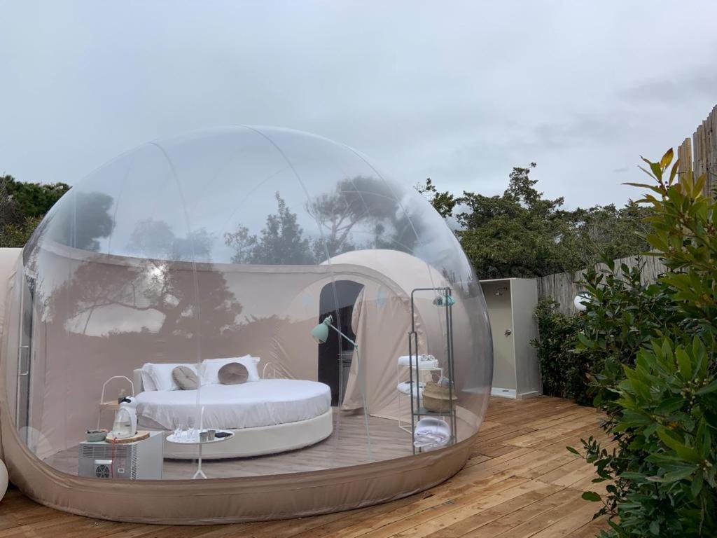 un letto in una cupola di vetro su un patio di Bubble Room Tuscany a Marina di Bibbona