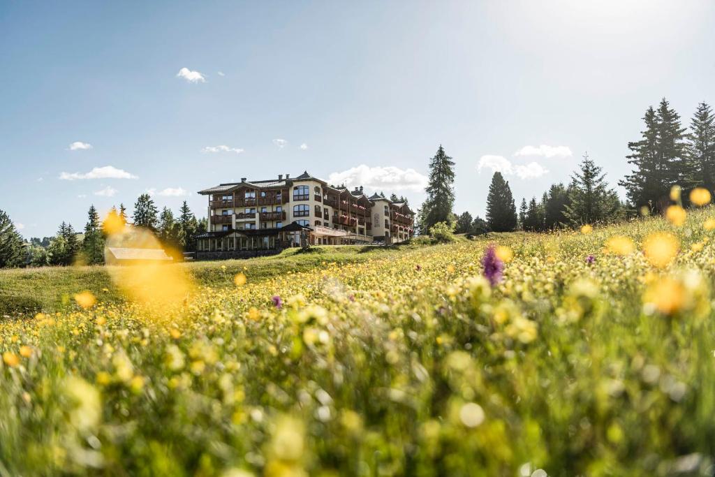 una casa in mezzo a un campo di fiori di Hotel Steger-Dellai ad Alpe di Siusi