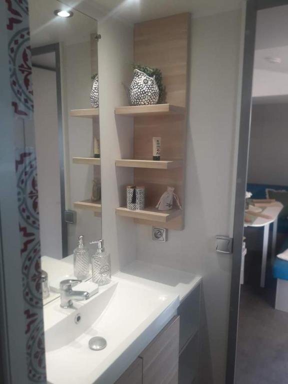 une salle de bains avec un lavabo et un miroir dans l'établissement Anne Marie vous accueilles dans son logement familiale pour 6 personnes 3 chambres confortable proche d Europa Park a BOOFZHEIM dans CAMPING 3 Etoiles, à Boofzheim