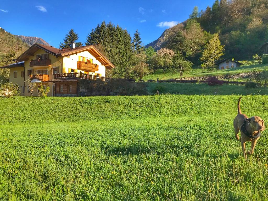 Nespecifikovaný výhled na hory nebo výhled na hory při pohledu z bed and breakfast