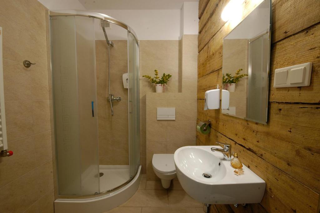Dom na Skale - Apartamenty w Bieszczadach nad Soliną - Appartement Met Open Haard