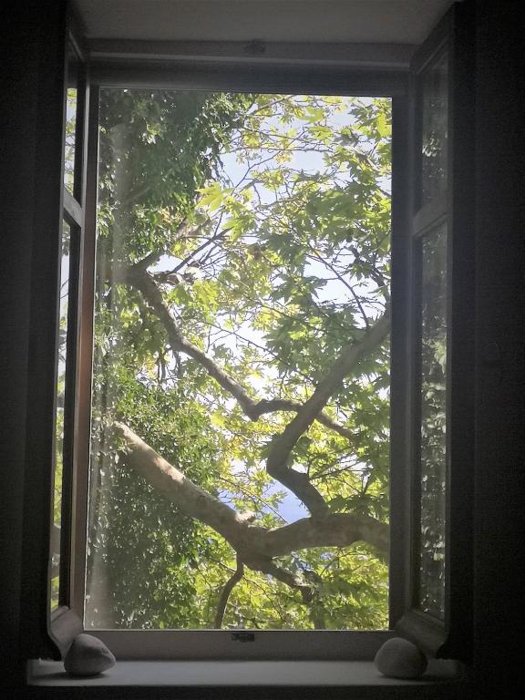 a window with a view of a tree at Tiny Big House in Fanari