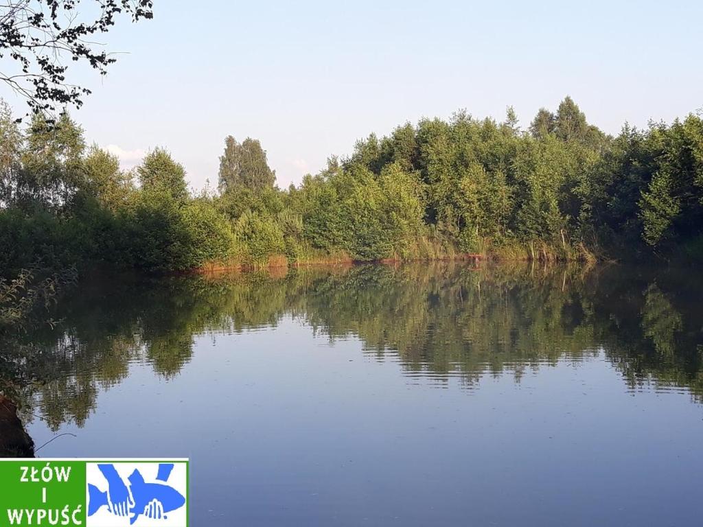 Príroda v okolí dovolenkového domu