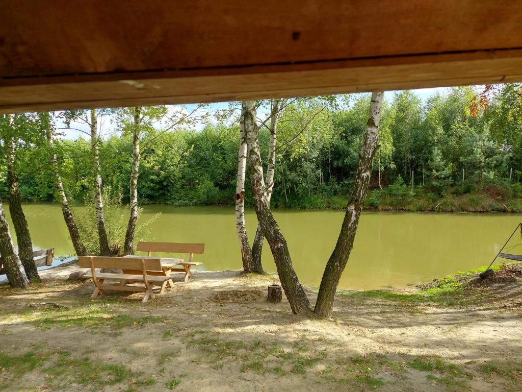 a picnic table and bench in front of a pond at Słoneczny domek ze stawem i wędkowaniem in Żdżary