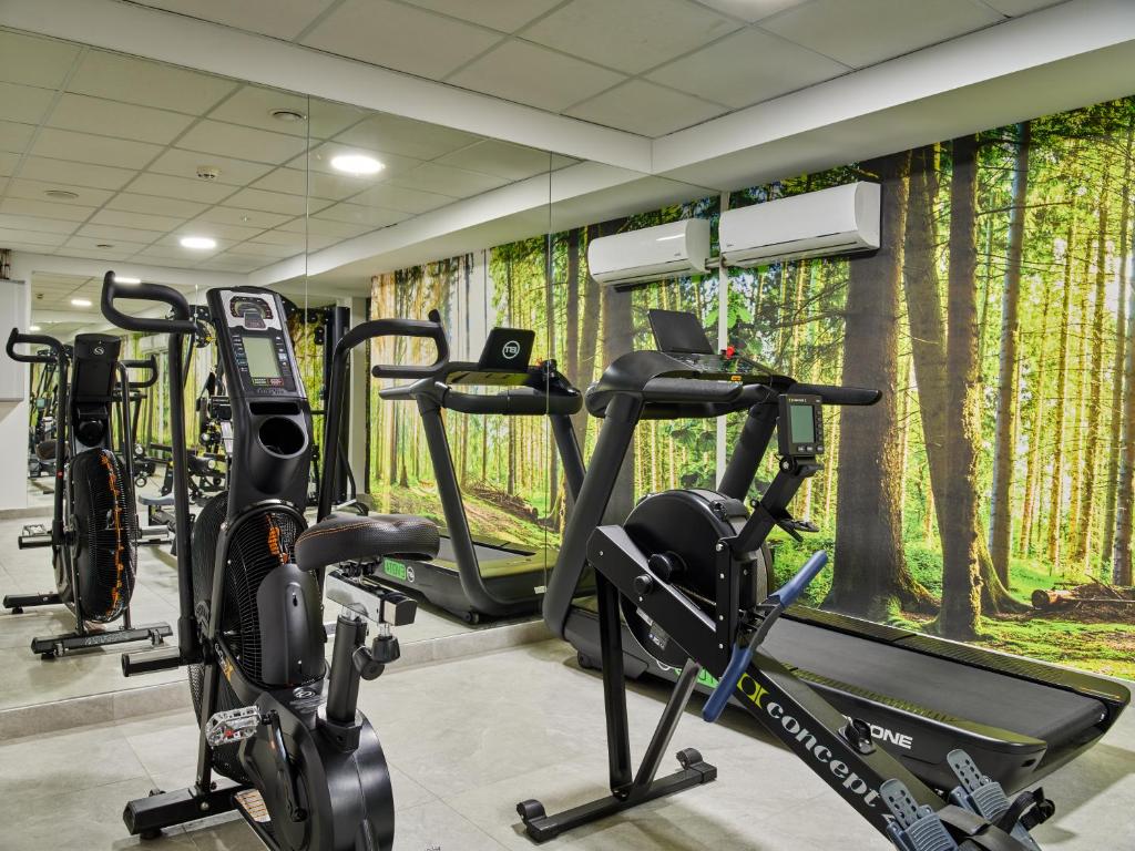 Fitness centrum a/nebo fitness zařízení v ubytování 1891 Garni Hotel