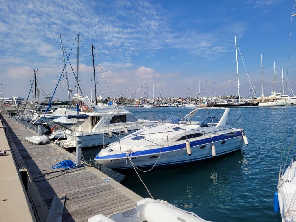 a group of boats docked at a dock in the water at Beamar 2 in Valencia