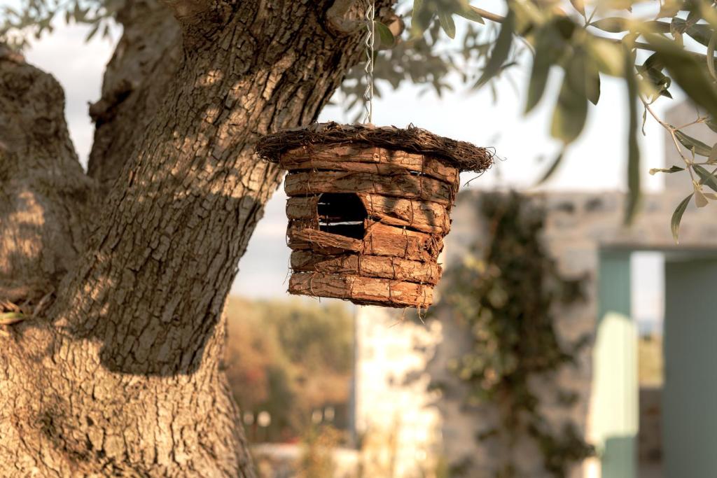 a birdhouse hanging from the side of a tree at The Olive Yard in Gythio