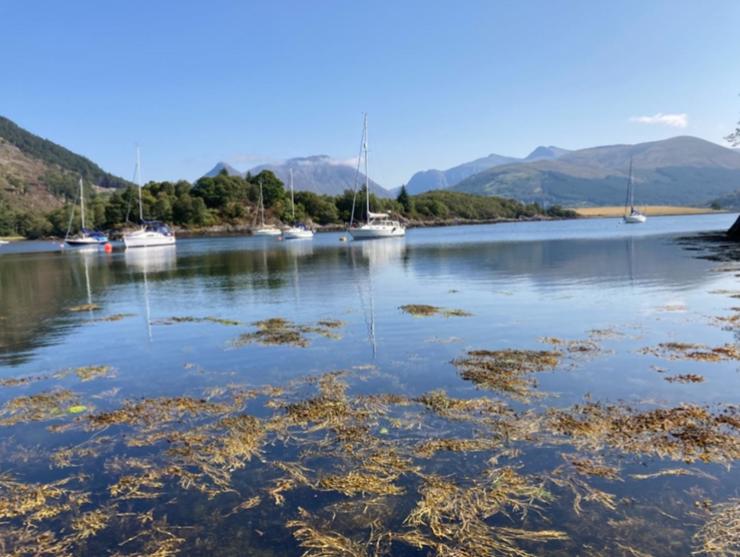 The Fox's Den, Luxury Cosy Mini Lodge, Highlands