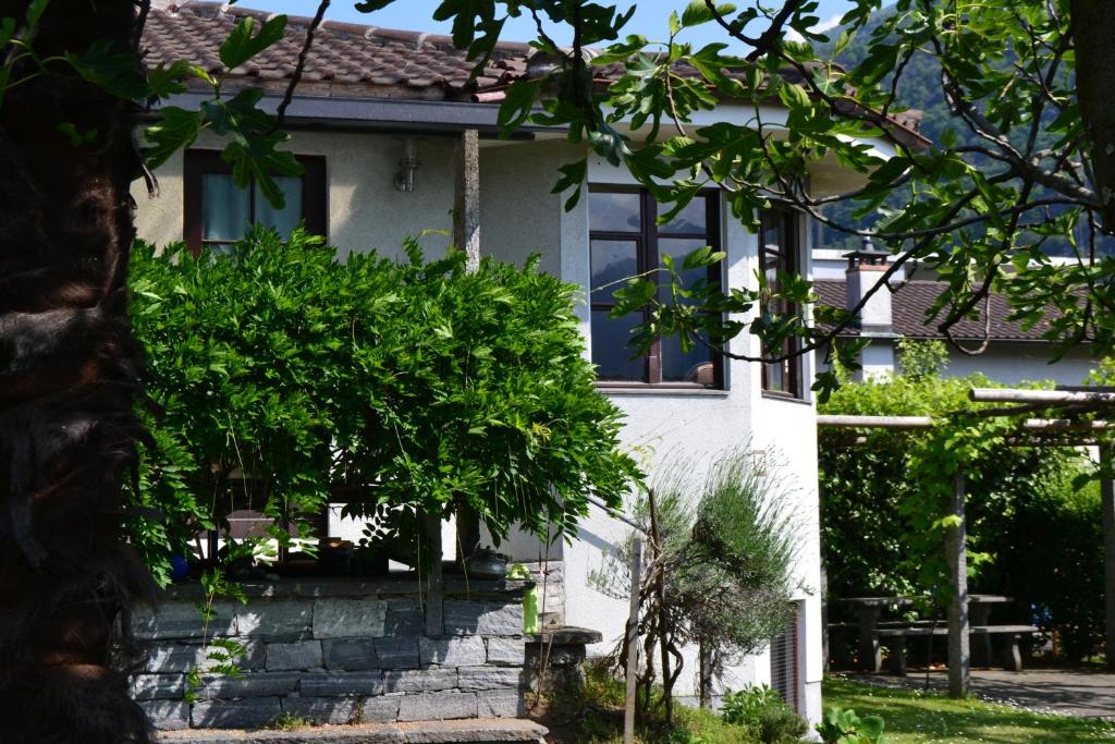 une maison blanche avec des arbres devant elle dans l'établissement Casa Sabina in CH 6616 Losone Tessin, à Losone