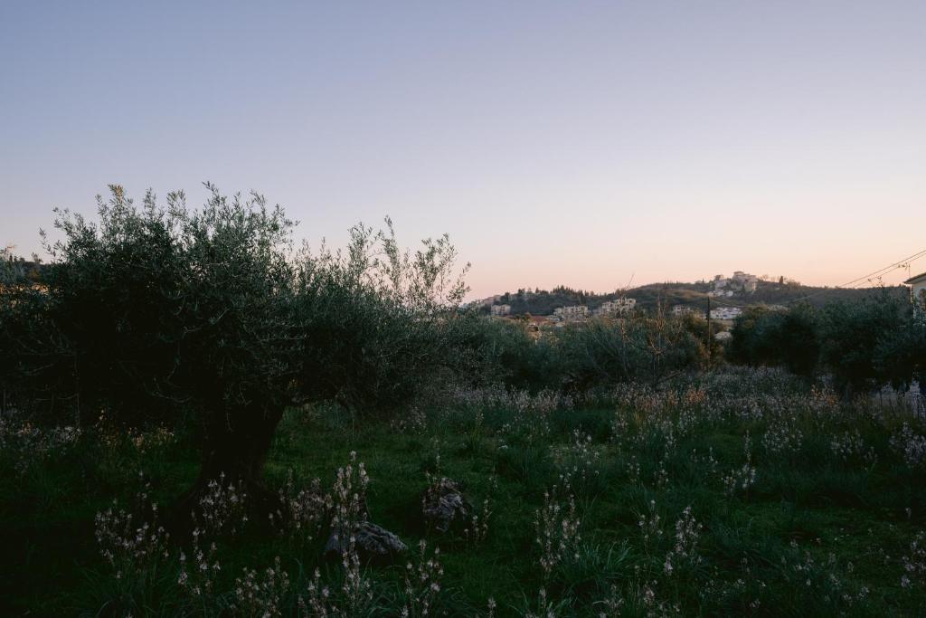 a field of grass with a bridge in the background at Sarah Luxury Rooms in Syvota