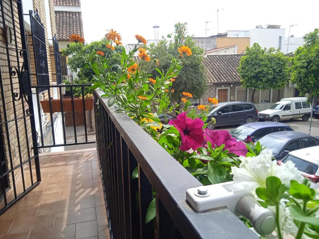 Zahrada ubytování Casa Violeta